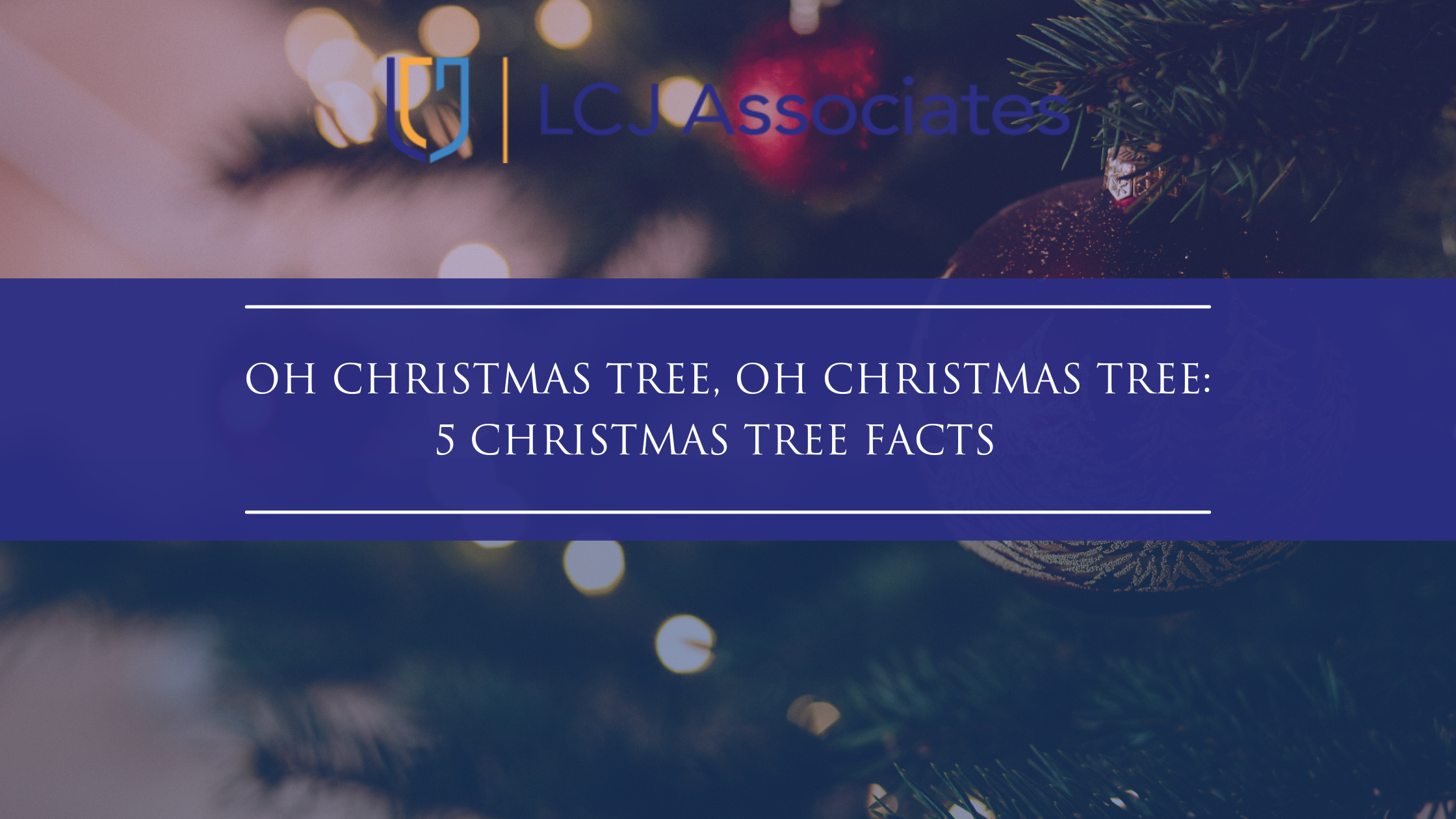Oh Christmas Tree, Oh Christmas Tree: 5 Christmas Tree Facts